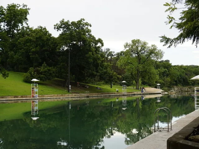 Barton Springs Pool and its grassy hillside under large shade trees